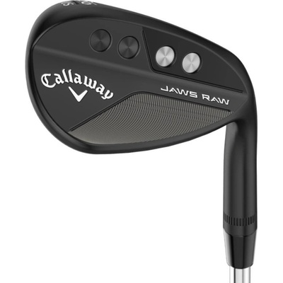 Callaway Jaws Raw Plasma True Temper Dynamic Gold Spinner,S-Grind – Zbozi.Blesk.cz