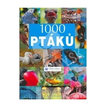 1000 ptáků -