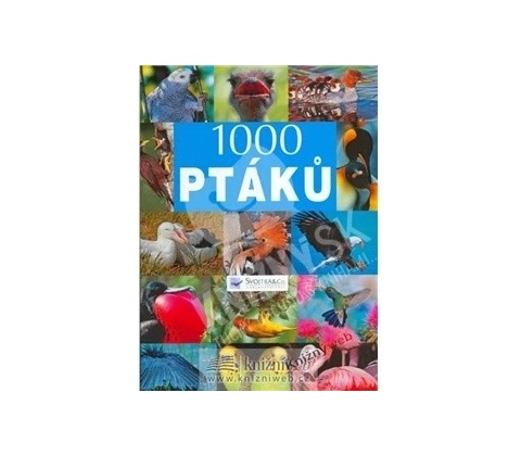 1000 ptáků -