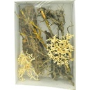 Lucky Reptile Deco Set Desert