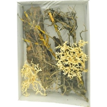 Lucky Reptile Deco Set Desert