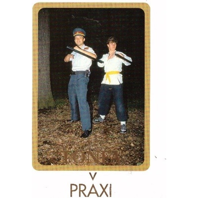 Tonfa v praxi
