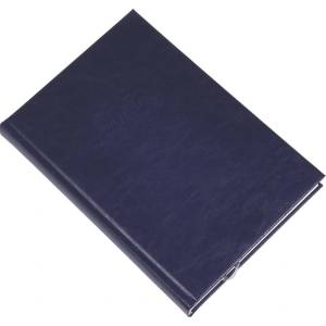Realsystem Дневник за срокове REALSYSTEM Standard B/5, ежедневен, с бели листа, син, 2027 5621-04 (5621-04)