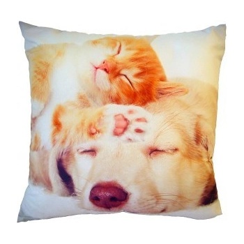 Dadka Foto vankúš Spící kočka se psem 40x40