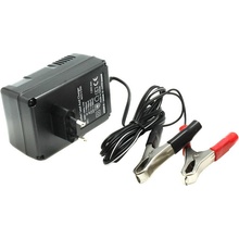 Ansmann ALCS 2-24A