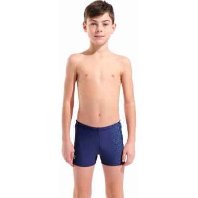 arena Feel PAINTERLY SWIM SHORT