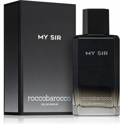 Roccobarocco My Sir parfémovaná voda pánská 100 ml