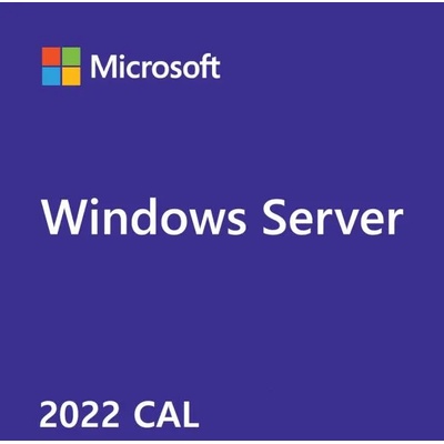 Microsoft Windows Server 2022 Remote Desktop Services CAL (DG7GMGF0D7HX-0009)
