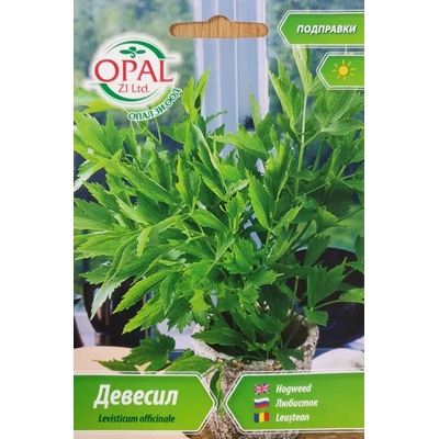 Opal Zi Девисил Levisticum officinale