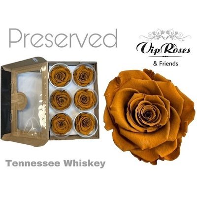 Стабилизирана вечна роза VIP Tennessee Whiskey