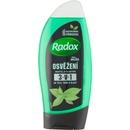 Sprchové gely Radox Men Invigorate Mint sprchový gel 250 ml