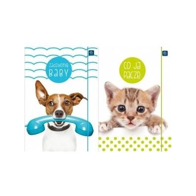 Briefcase with elastic band A4+ LUX UV Puppy Sign (10pcs)
