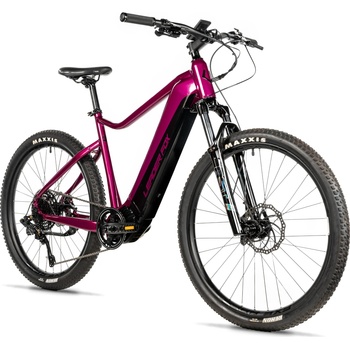 Leader Fox Kent 2025