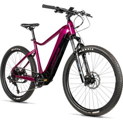 Leader Fox Kent 2025