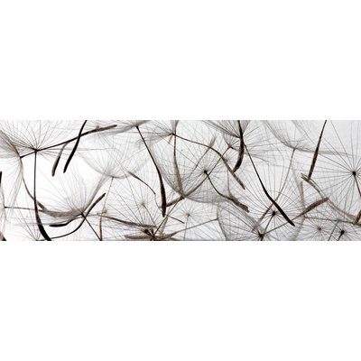 050 Samolepící fototapeta do kuchyně - Pampeliškové chmýří, 180x60cm