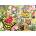 Cobble Hill - Puzzle Butterfly Magic - 500 piese