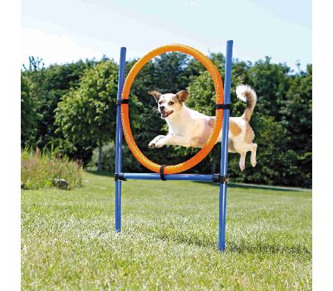 AGILITY kruh preskakovací