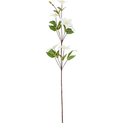 KONÁR KLEMATIS biely 88CM