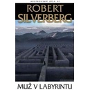 Muž v labyrintu