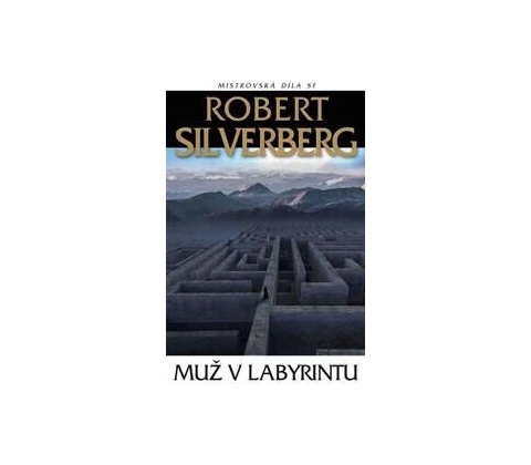 Muž v labyrintu