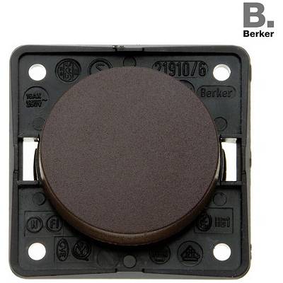 Berker integro 321/243