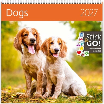 HELMA 365 Dogs 2027