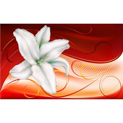 ForWall Fototapeta Biela ľalia vlies 208 x 146 cm