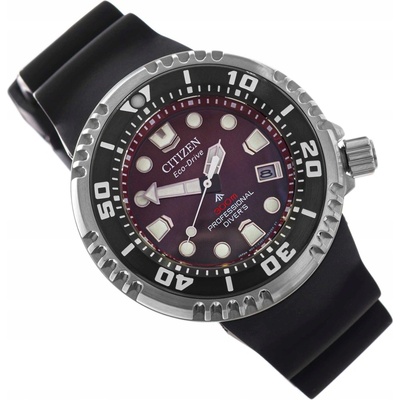 Citizen BN1024-01Z