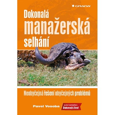 Dokonalá manažerská selhání -- Neobyčejná řešení obyčejných problémů - Vosoba Pavel