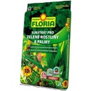 Agro CS Floria Substrát na zelené rastliny a palmy 20 l