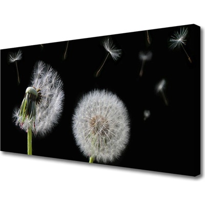 Obraz na plátně Pampeliška 100x50 cm
