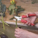 Image 1 of FELCO 300