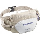 Salomon Trailblazer