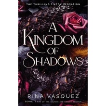 A Kingdom of Shadows - Rina Vasquez