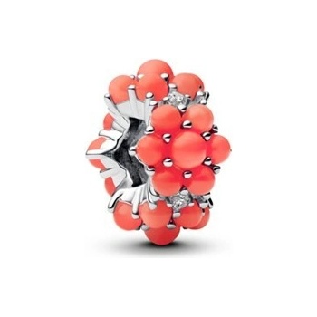 Pandora 793897C01