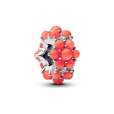 Pandora 793897C01
