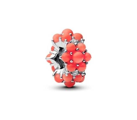 Pandora 793897C01