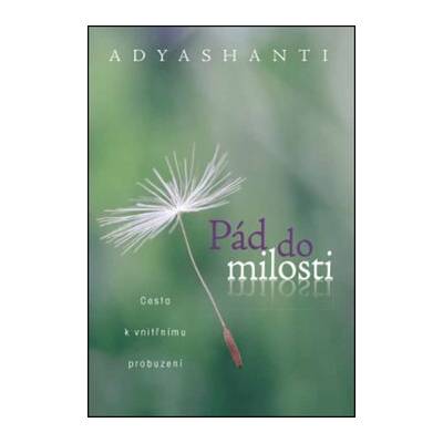 Pád do milosti: Cesta k vnitřnímu probuzení