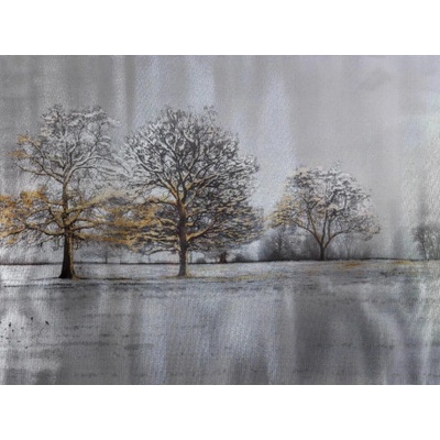 Obraz maľovaný originál 90x120 WD13952A