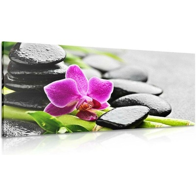 Obraz wellness zátiší s fialovou orchidejí - 100x50