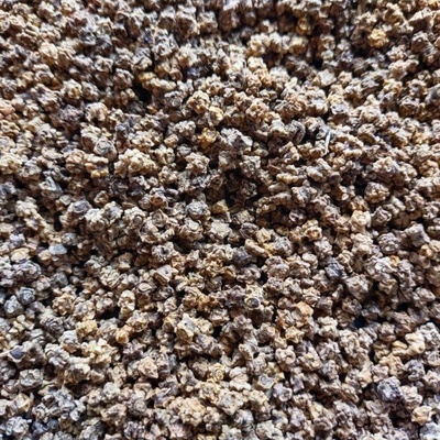 Microgreens Ružová repa na mikrozeleninu 50 g