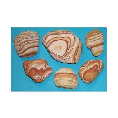 Macenauer Rainbow Rounded Tiger, 0,3-0,5 kg
