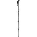 Manfrotto MM290C4
