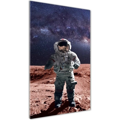 Vertikálny foto obraz fotografie na skle Astronauta 50x100 cm