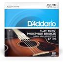 DAddario EFT16