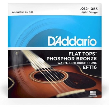 DAddario EFT16