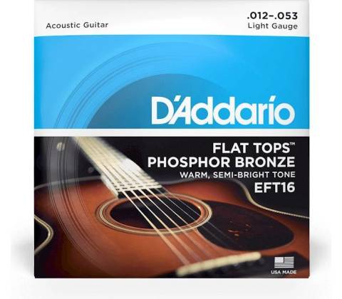 DAddario EFT16