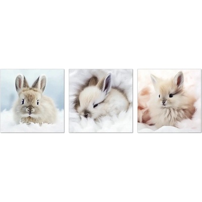 Obraz na plátne sada Zajačiky Small Rabbits 3 ks