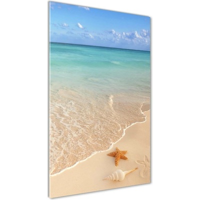 Vertikálny fotoobraz na skle Hviezdice na pláži 50x100 cm