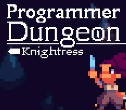 Programmer Dungeon Knightress